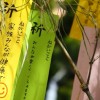 日本三大七夕の安城七夕まつりの歴史と見所は？交通アクセスは？